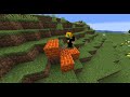 Minecraft Block Hunt