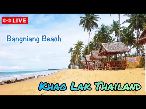 Live 🇹🇭 Bangniang Beach Khao Lak Thailand