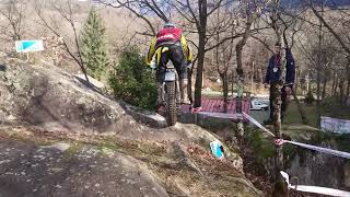 MOV 1252Walt5