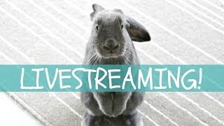 #InternetFriendsDay -PAST LIVESTREAM-