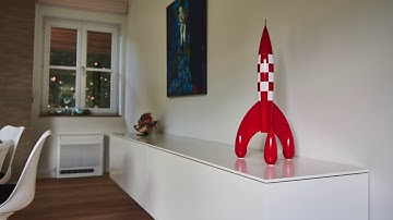 The Domintell experiences