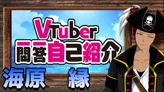 「【 自己紹介 】Vtuber一問一答自己紹介【 海原縁 / Vtuber 】」のサムネイル