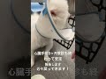 安定しました!