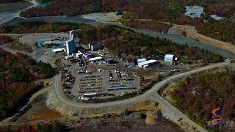 Tapping into the potential of genomics in mining