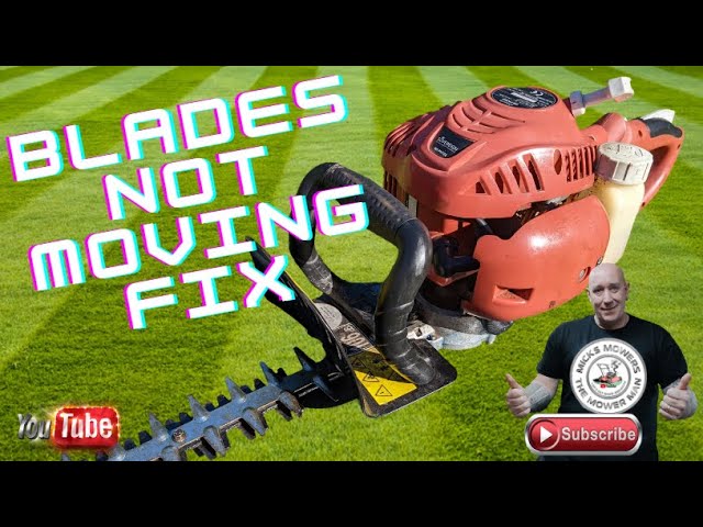 Hedge trimmer blades want to know why? #hedgetrimmer #why - YouTube