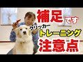 犬のクリッカートレーニング　以前出した動画の補足となります！