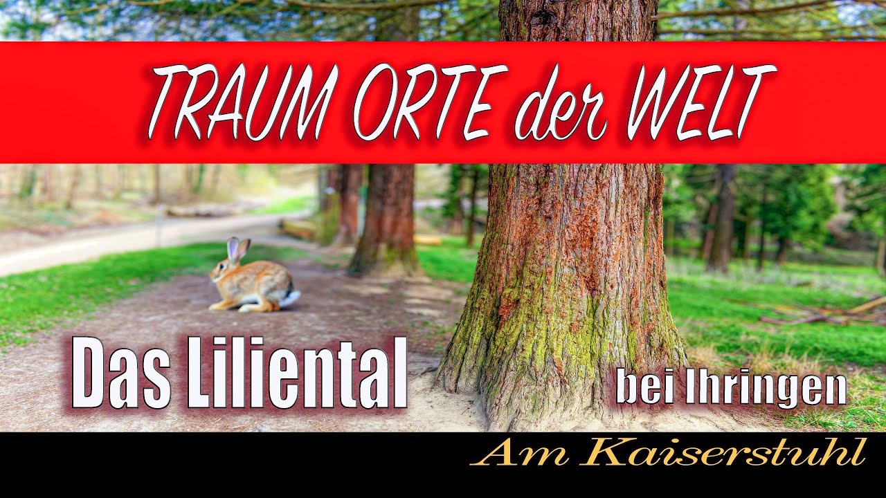 Liliental am Kaiserstuhl #kaiserstuhl #liliental