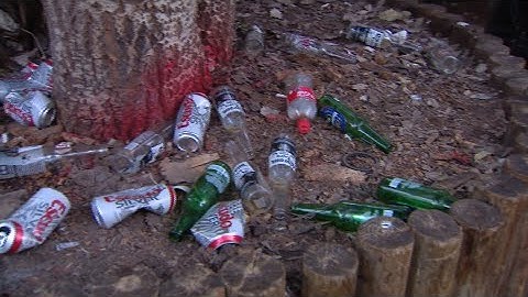 150 personas participaron en fiesta ilegal de un condominio
