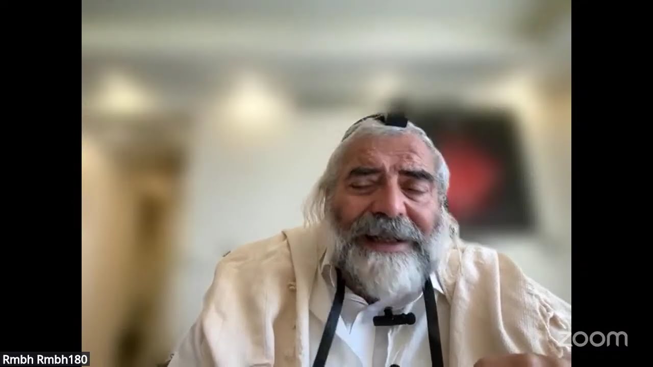 Daf HaYomi - Zevahim 43