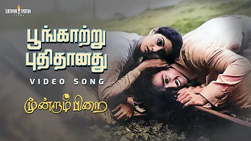 பூங்காற்று HD Video Song| Poongaatru | Moondram Pirai | Kamal Haasan | SriDevi | Ilaiyaraaja