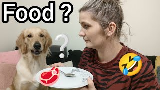 My Dog Reacts to the Invisible Food Challenge