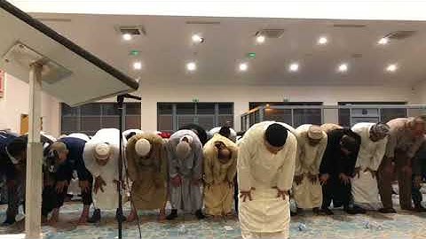 الشيخ محمد جبريل وسورة الانفال وماتيسر من التوبة براوية شعبة عن عاصم