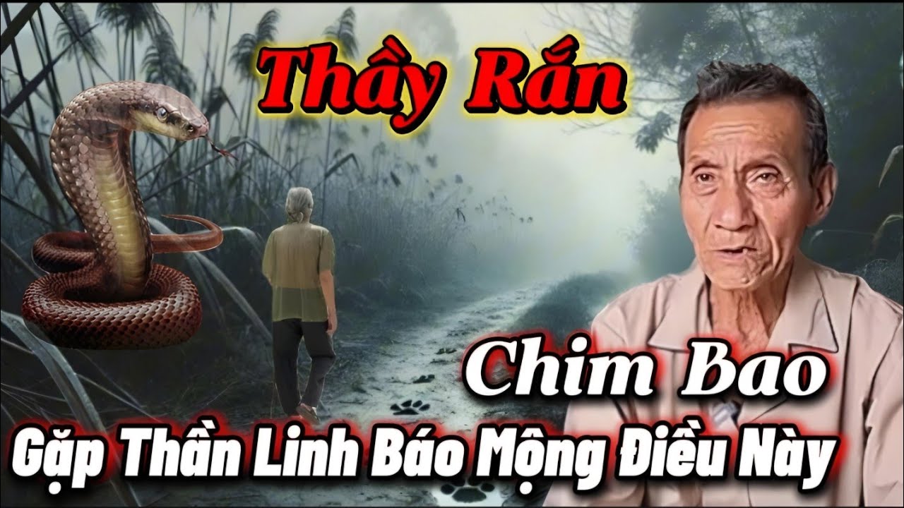 Thầy Rắn Chim Bao Gặp Thần Linh Báo Mộng Điều Này...