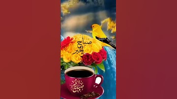 اجمل واروع تلاوة في صباح يوم الجمعه 💚🥀جمعة طيبة مباركة معطرة بذكر الله ورسوله ♥️🌿