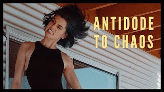 Antidote to Chaos -  My Bullet Journal 12 Month Review