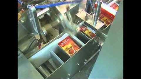 Bartelt Form Fill and Seal Loading Automatic Cartoner