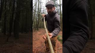 🏕️ Bushcraft basics episode 1 🏕️ How to make tent pegs.  #nature #craft #camping