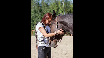 Wie bringe ich ein Pferd dazu mich zu mögen?