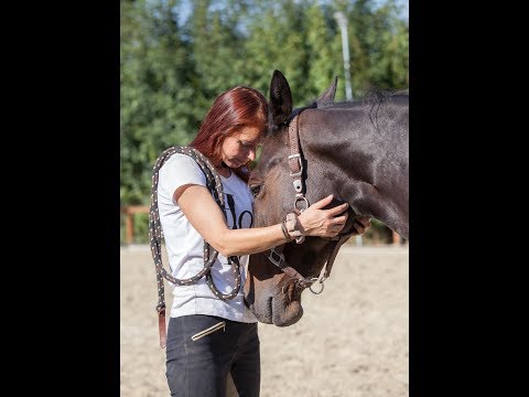 Video: 3 Möglichkeiten, Klumpen bei Katzen zu identifizieren