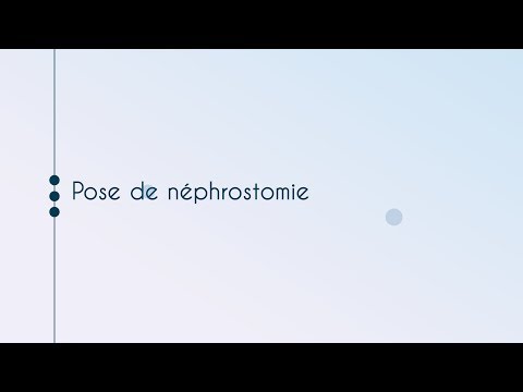 Module 02 - pose de néphrostomie