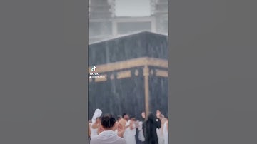قرآن كريم 🥰 #قرآن_كريم #tiktok #shorttrending