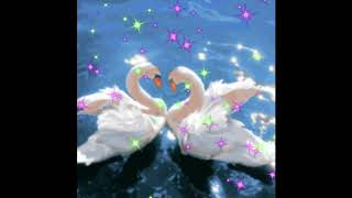 haroinfather \u0026 savagegasp - tunnel of love remix clean [BEST VERSION]