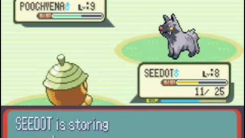 pokemon ruby Team Magma figth 1