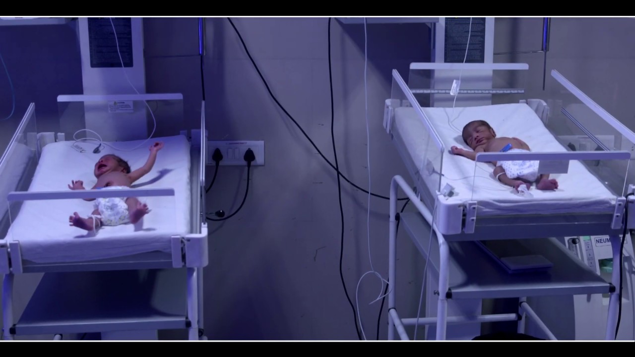 CSIR   IMTECH ENGLISH