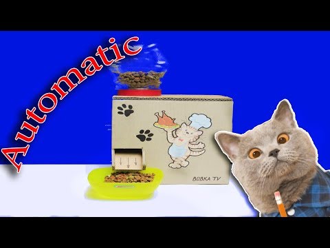 diy-automatic-feeder-for-pets-with-digital-timer