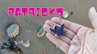 Episode 44 - 1800-talsmynt, sjöstjärnor och 100 år gammalt seaglass! Metalldetektering vid havet