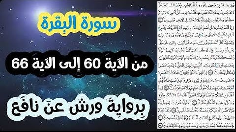 سورة البقرة مكتوبة | من الآية 60 إلى الآية 66 | برواية ورش عن نافع | تلاوة تدفع بك إلى إعمال عقلك