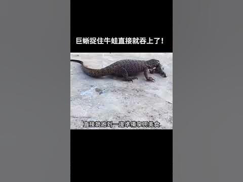 [問卦] 生物界都這樣吞來吞去的嗎？
