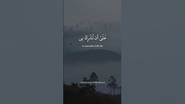 سورة لقمان (14-15)
