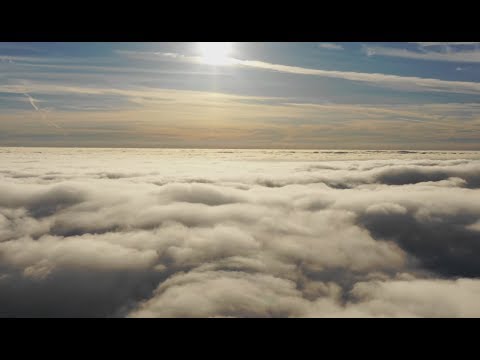 Fog Is A