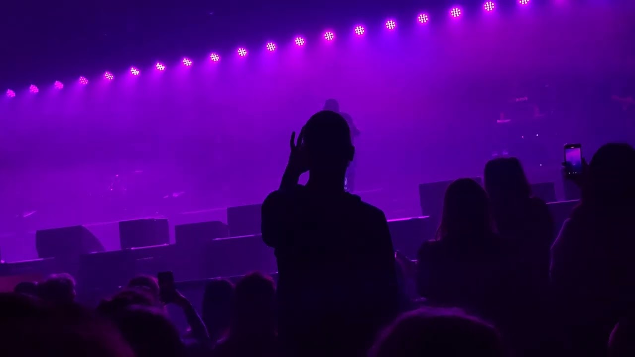 Concert de Gims le 8 novembre 2024 