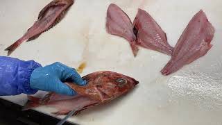 How to Fillet Whole Rockfish (Rock Cod)