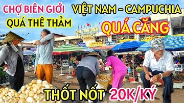 TỊNH BIÊN AN GIANG NHIỀU TIỂU THƯƠNG KHÓC THAN VÌ Ế ẨM - THỐT NỐT RẺ CHƯA TỪNG CÓ 20 NGÀN ĐỒNG 1 KÝ