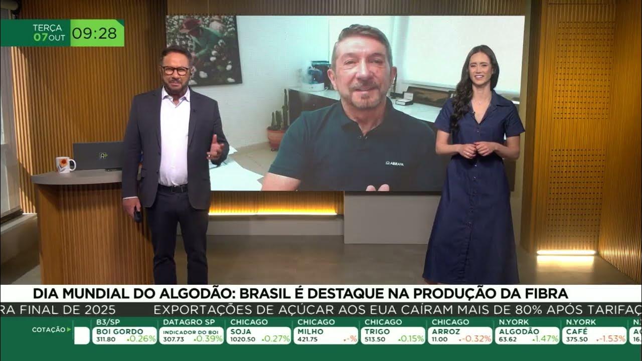 Dia mundial do algodão: Brasil é destaque na produção da fibra