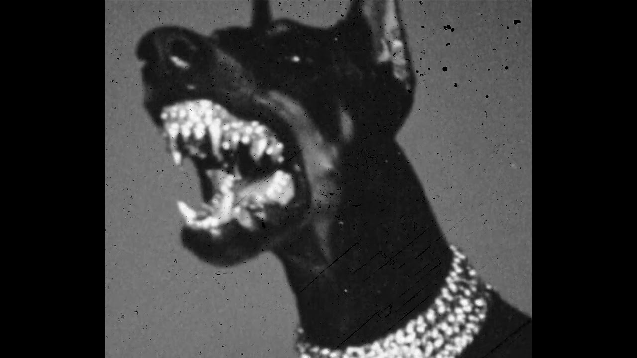 [FREE] GRISELDA TYPE BEAT - TITO