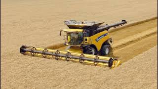 seventeen from FS 17 pop radio