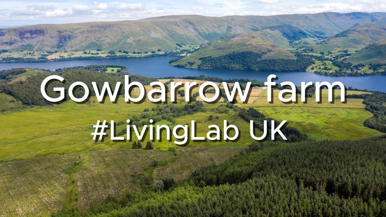 ReForest Living Lab Videos - UK (Gowbarrow Farm)
