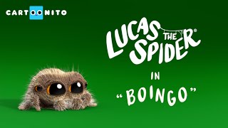 Lucas the Spider  Boingo  Short
