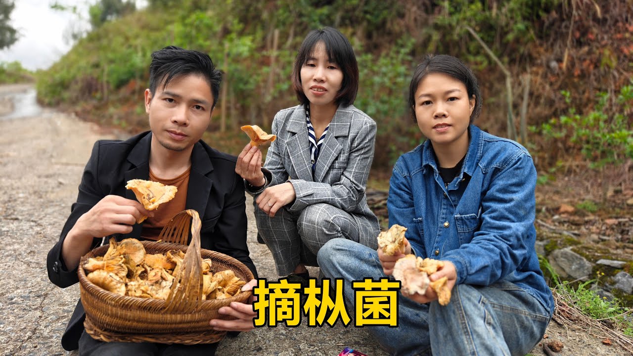 山上的樅菌瘋長，三嫂一夥人摘到手軟太過癮了，一會功夫就得一籃【農人家三嫂】