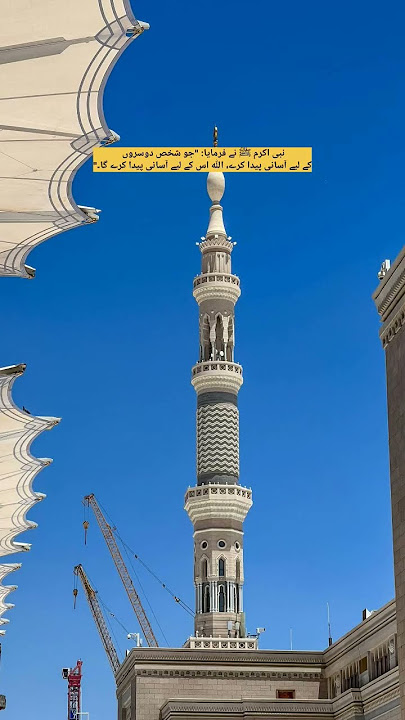 Habibi Ya Muhammad ﷺ | Pyar Bhari Naat #naatsharif #islamicshorts #islamicvideo