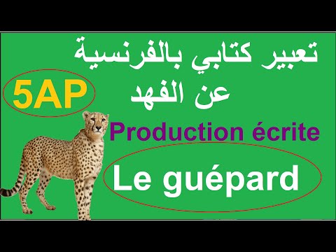 تعبير كتابي بالفرنسية لسنة الخامسة ابتدائي عن الفهد Production écrite Du Guépard 5ap