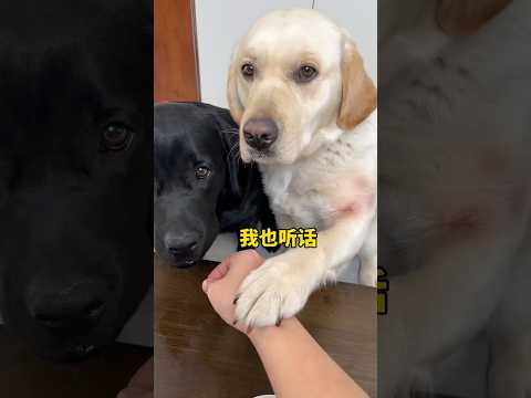 Martelo na cabeça! 😱😁😂