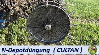 Gründe für die N-Depotdüngung (CULTAN)
