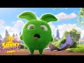 SUNNY BUNNIES - FUNNY MOMENTS OF THE WEEK | Cartoons for Kids