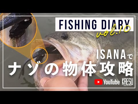 バイトラッシュの目印はコレ 獲れる確率が劇的に上がる イサナ の使用方法を公開 FISHING DIARY Vol 10 