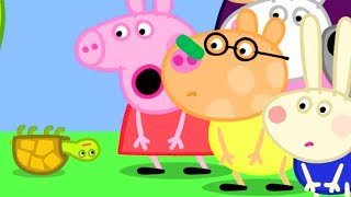 peppa pig official channel tiddles the tortoise falls on pedros nose